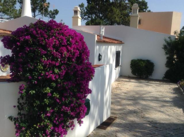 Casa Nicho Βίλα Vale do Lobo Εξωτερικό φωτογραφία
